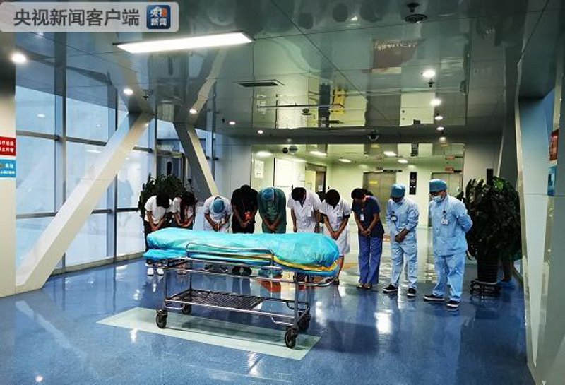 器官移植救助：生命的桥梁与希望之光