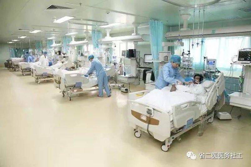生命重塑:器官移植救助最新进展
